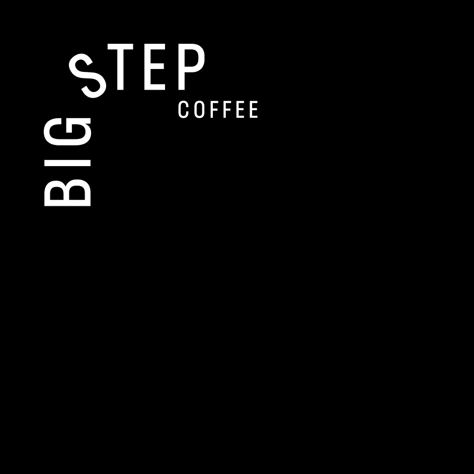 02_BigStep_logo